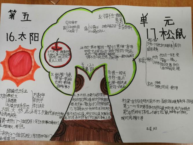 五年级上册知识规划手抄报 五年级上册手抄报