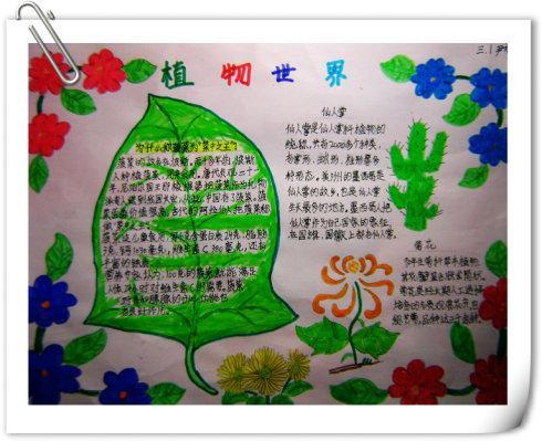 科技馆植物园研学旅行手抄报 植物园手抄报