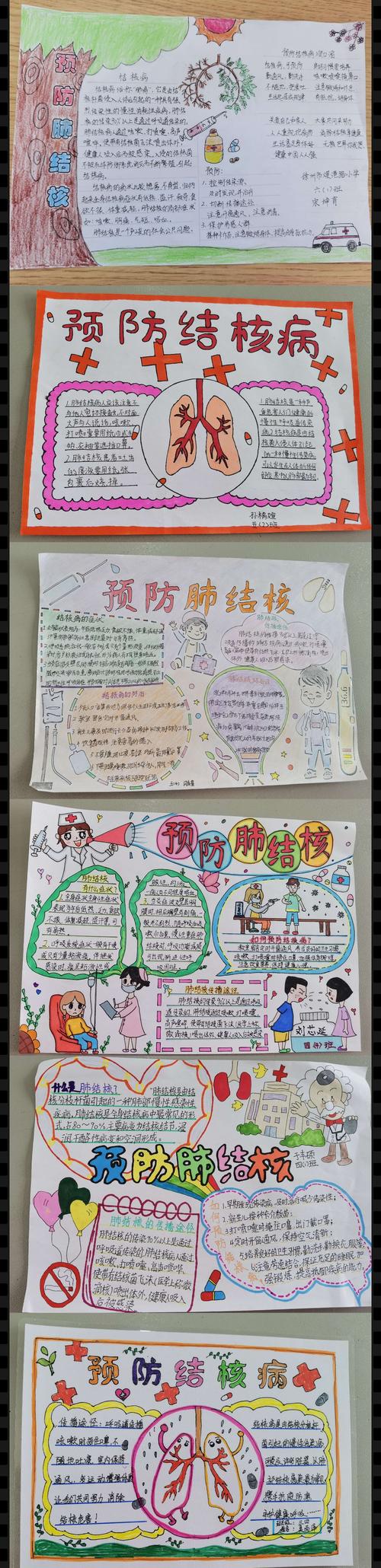 结核病预防知识精美手抄报 疾病预防手抄报