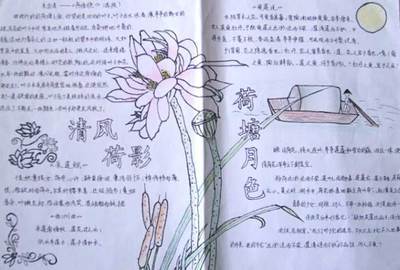 荷花自然观察笔记手抄报 读书笔记手抄报
