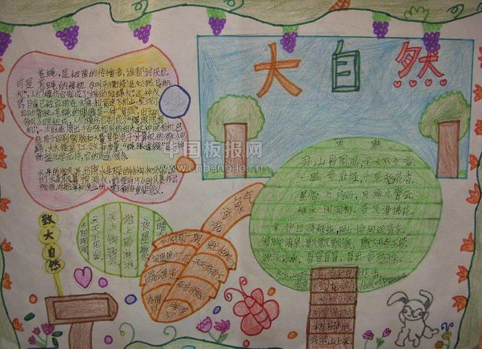 四年级下册语文三单元自然手抄报 四年级下册手抄报