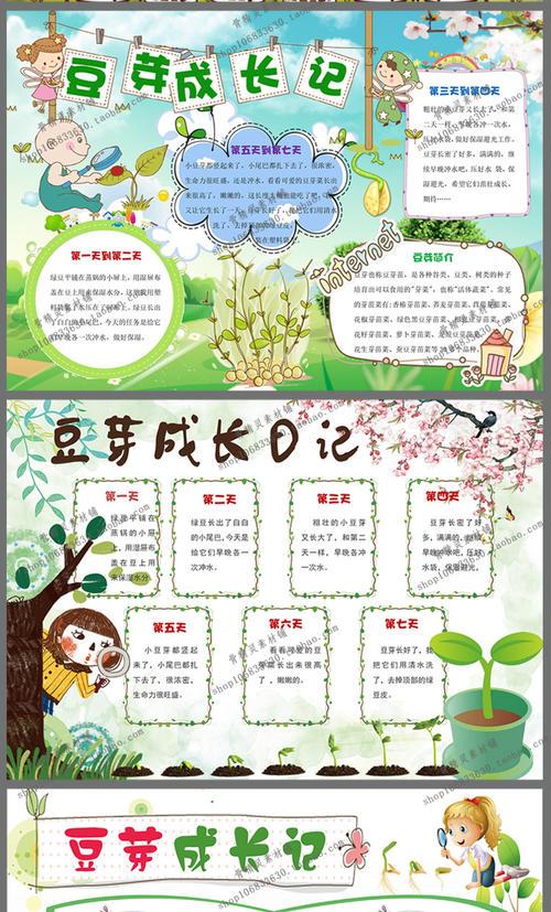 小豌豆生长过程手抄报 手抄报模板大全