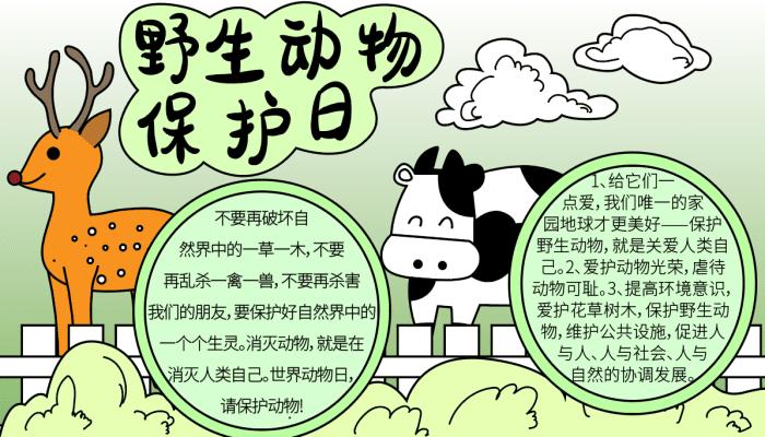 三年级以保护野生动物为主题的手抄报 爱为主题的手抄报