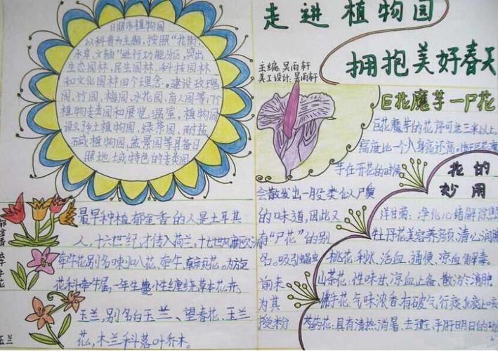 外来入侵植物手抄报 植物园手抄报