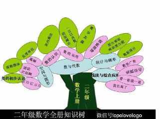 三年级上册数学七单元知识树手抄报 三年级上册手抄报