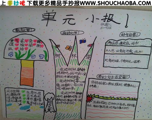 五单元的总结手抄报 手抄报图片大全集