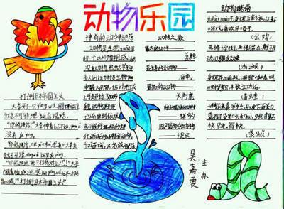 极地动物手抄报 动物手抄报