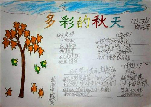 学生做的落叶手抄报 学生手抄报