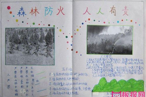 森林防火七年级的手抄报 森林防火手抄报
