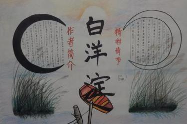白洋淀记事名著导读手抄报 白洋淀纪事手抄报