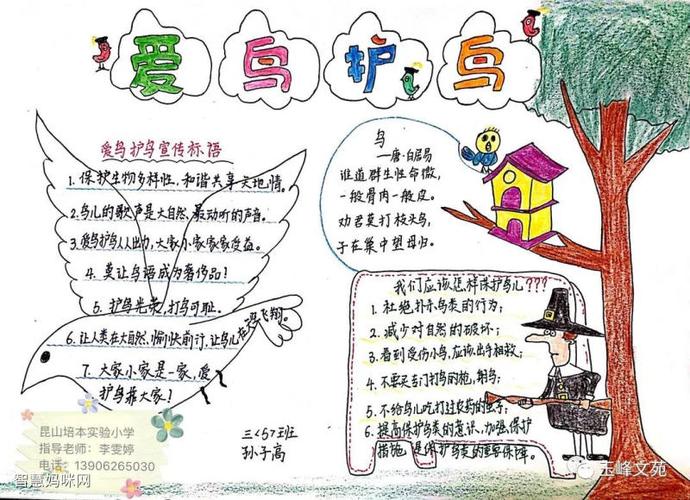 二年级关于保护鸟类的手抄报 二年级手抄报