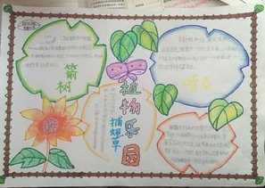 小学生兴趣苗圃手抄报 小学生手抄报