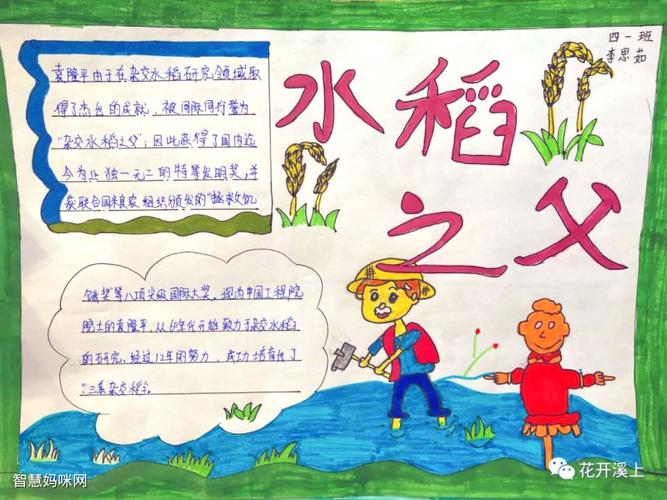 水稻生长过程主题手抄报 安全主题手抄报
