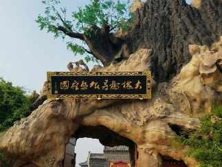 三年级关于老槐树手抄报 三年级手抄报