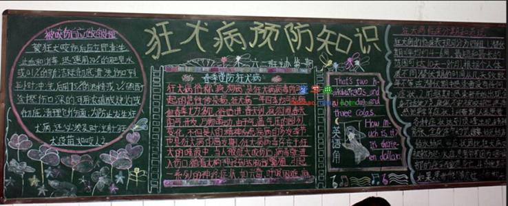 狂犬病的预防黑板报 预防传染病黑板报图片大全