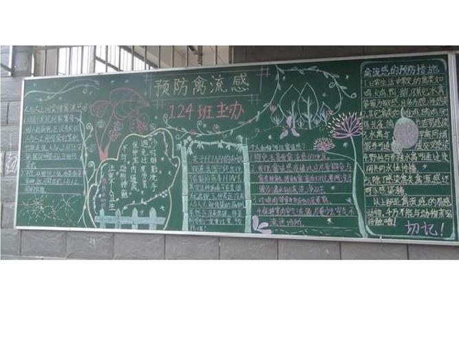 班级禽流感黑板报 班级黑板报图片大全