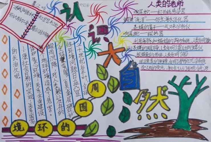 地球知识大搜索手抄报 认识大自然手抄报