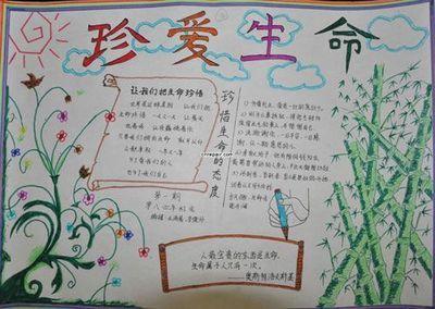 关爱生命救在身边的手抄报 美在身边手抄报