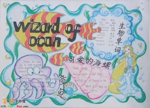 虫子变蝴蝶英语手抄报 英语英语手抄报