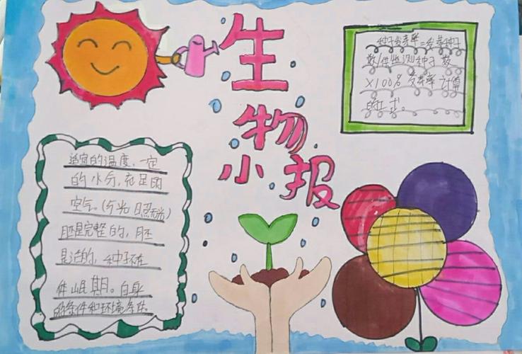 我的由来生物手抄报 生物手抄报
