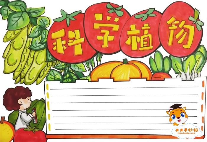 语文植物科普手抄报 科普手抄报