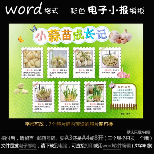 小蒜苗成长记手抄报 成长手抄报