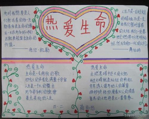 学生生命的启示手抄报 生活的启示手抄报