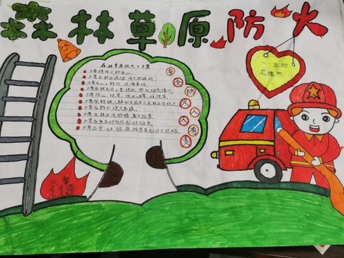 一年级一等奖关于森林防火的手抄报 森林防火手抄报
