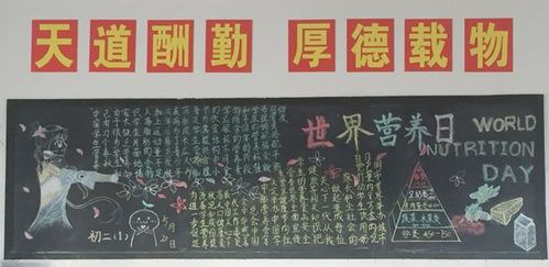 5.20中国学生营养日黑板报 建队日黑板报图片素材