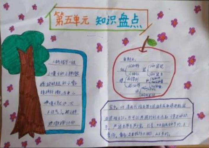 三年级下册第五单元知识总结手抄报 一年级下册手抄报