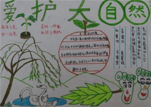 人类从大自然中受到哪些启发手抄报 大自然手抄报