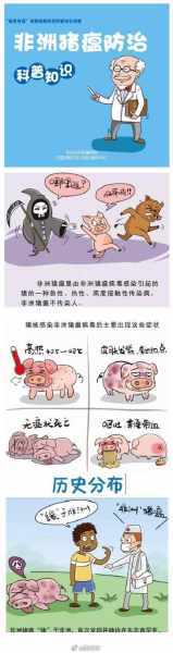 如何预防非洲猪瘟手抄报 如何做手抄报