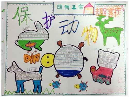 我来介绍小动物手抄报 动物手抄报