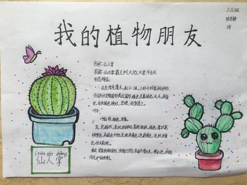 关于植物生殖的手抄报 植物园手抄报