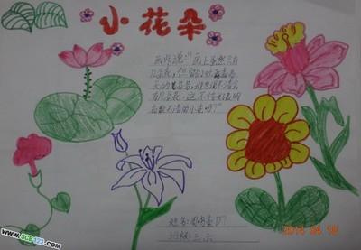 从花到形成果实示意图手抄报 手抄报简单又好看