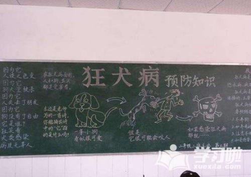 狂犬病黑板报 黑板报图片素材