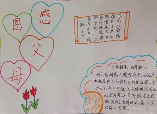 比较难的感恩父母的手抄报 感恩父母的手抄报