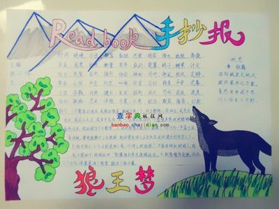 真狼与假狈读书手抄报 读书手抄报