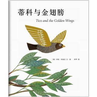 蒂科与金翅膀手抄报 手抄报版面设计图