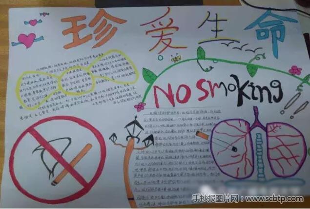 禁烟禁毒健康你我的手抄报 安全你我他手抄报