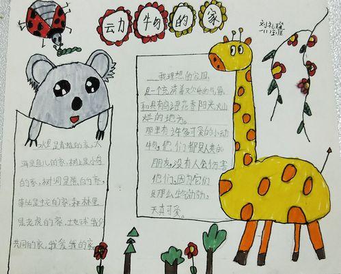 动物生活过成手抄报 动物手抄报
