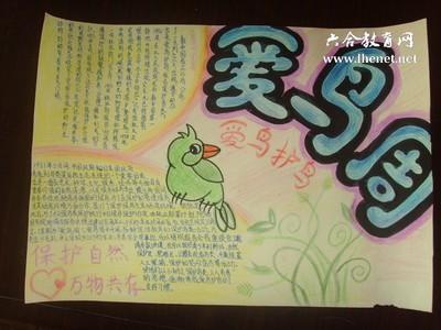 超简单超简单的爱鸟的手抄报 超简单英语手抄报