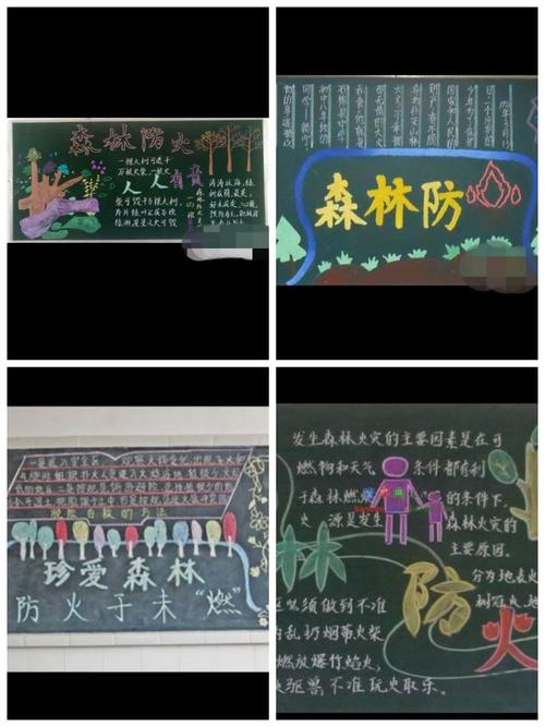 森林生态科普教育黑板报 科普黑板报图片素材
