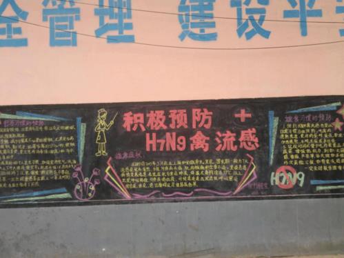 关于h7n9的黑板报 关于黑板报图片大全