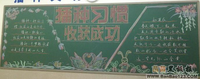 收获精彩黑板报 黑板报图片素材
