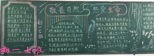 敬畏生命尊重自然黑板报 黑板报图片素材