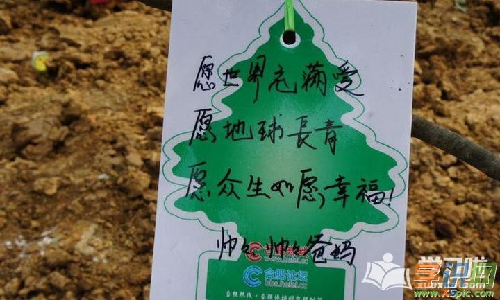 幼儿园植树造林贺卡 植树造林贺卡