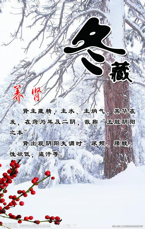 冬藏养肾黑板报 黑板报图片素材