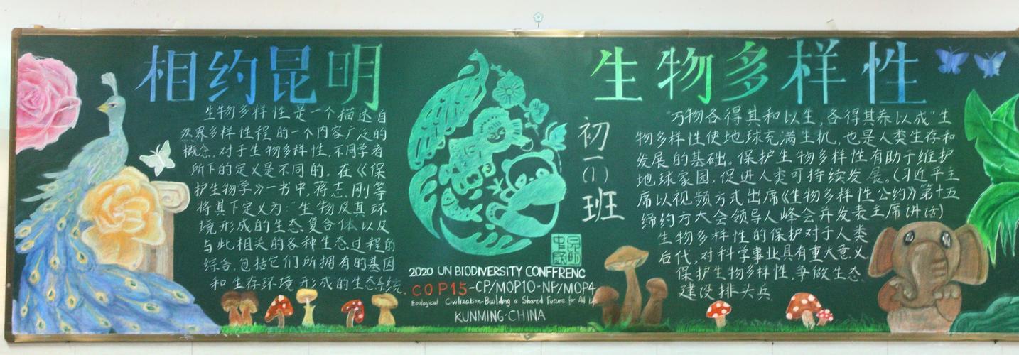 生物与健康为主题的初中黑板报 初中黑板报图片大全
