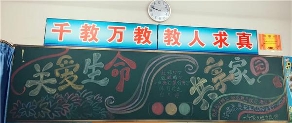 关爱生命关注安全的黑板报 安全的黑板报图片大全